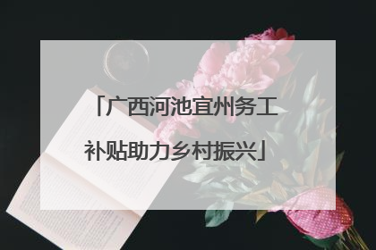 广西河池宜州务工补贴助力乡村振兴