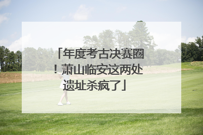 年度考古决赛圈！萧山临安这两处遗址杀疯了