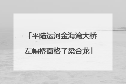 平陆运河金海湾大桥左幅桥面格子梁合龙