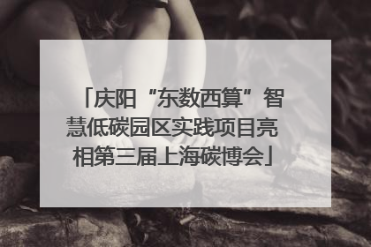 庆阳“东数西算”智慧低碳园区实践项目亮相第三届上海碳博会