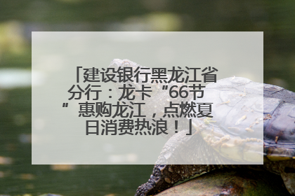 建设银行黑龙江省分行：龙卡“66节”惠购龙江，点燃夏日消费热浪！