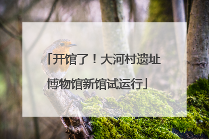 开馆了！大河村遗址博物馆新馆试运行