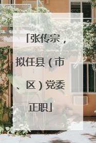 张传宗，拟任县（市、区）党委正职