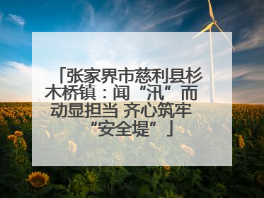 张家界市慈利县杉木桥镇：闻“汛”而动显担当 齐心筑牢“安全堤”