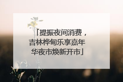 提振夜间消费，吉林桦甸乐享嘉年华夜市焕新开市