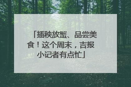 插秧放蟹、品尝美食！这个周末，吉报小记者有点忙