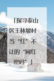 探寻泰山区王林坡村当“红”不让的“网红密码”