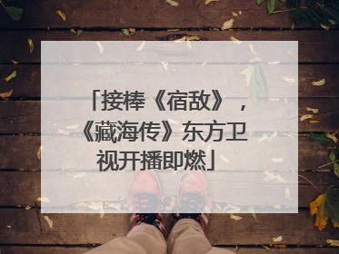 接棒《宿敌》，《藏海传》东方卫视开播即燃