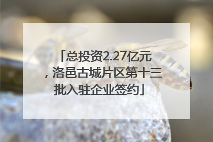总投资2.27亿元，洛邑古城片区第十三批入驻企业签约