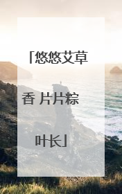 悠悠艾草香 片片粽叶长