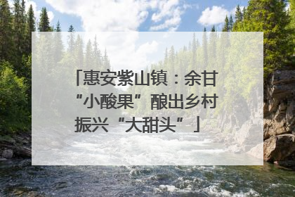 惠安紫山镇：余甘“小酸果”酿出乡村振兴“大甜头”