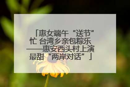 惠女端午“送节”忙 台湾乡亲包粽乐——惠安西头村上演最甜“两岸对话”
