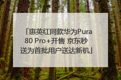 惠英红同款华为Pura 80 Pro+开售 京东秒送为首批用户送达新机