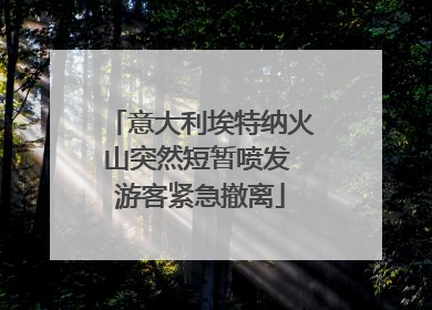 意大利埃特纳火山突然短暂喷发 游客紧急撤离