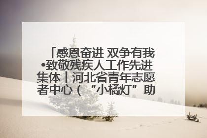 感恩奋进 双争有我•致敬残疾人工作先进集体丨河北省青年志愿者中心（“小橘灯”助残接力计划实施团队）：用温暖陪伴，守护特殊孩子成长