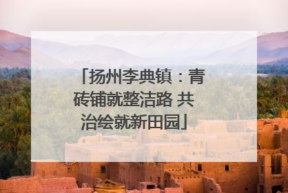 扬州李典镇：青砖铺就整洁路 共治绘就新田园