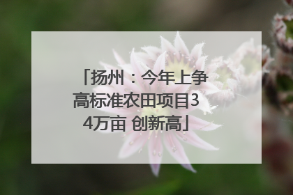 扬州：今年上争高标准农田项目34万亩 创新高