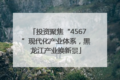 投资聚焦“4567”现代化产业体系，黑龙江产业换新景