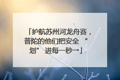 护航苏州河龙舟赛，普陀的他们把安全 “划” 进每一秒→