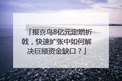 报喜鸟8亿元定增折戟，快速扩张中如何解决巨额资金缺口？