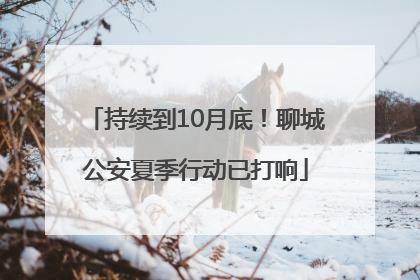 持续到10月底！聊城公安夏季行动已打响