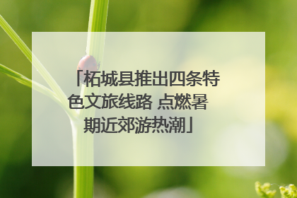 柘城县推出四条特色文旅线路 点燃暑期近郊游热潮