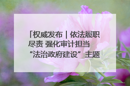 权威发布｜依法履职尽责 强化审计担当 “法治政府建设”主题系列新闻发布会市审计局专场召开