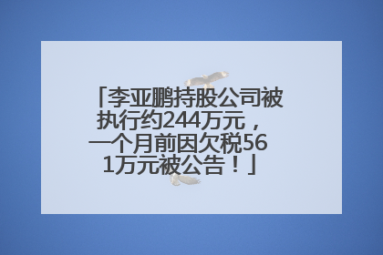 李亚鹏持股公司被执行约244万元，一个月前因欠税561万元被公告！
