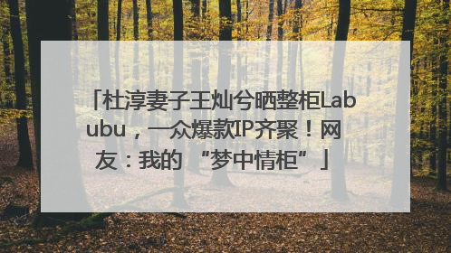杜淳妻子王灿兮晒整柜Labubu，一众爆款IP齐聚！网友：我的 “梦中情柜”