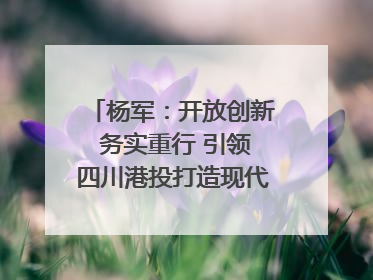杨军：开放创新 务实重行 引领四川港投打造现代物流标杆｜致敬2024四川经济影响力人物