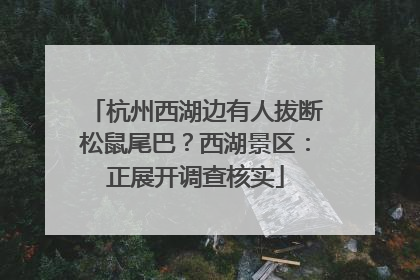 杭州西湖边有人拔断松鼠尾巴？西湖景区：正展开调查核实