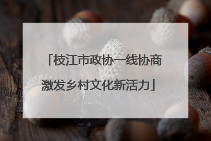 枝江市政协一线协商激发乡村文化新活力