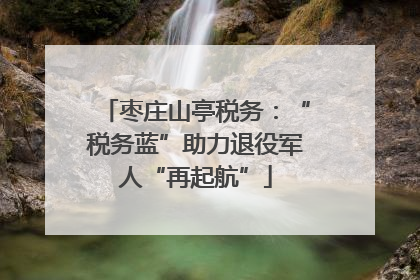 枣庄山亭税务：“税务蓝”助力退役军人“再起航”