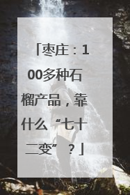 枣庄：100多种石榴产品，靠什么“七十二变”？