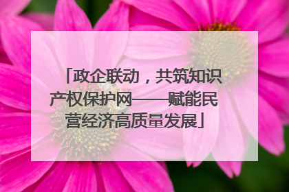 政企联动，共筑知识产权保护网——赋能民营经济高质量发展