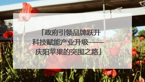 政府引领品牌跃升 科技赋能产业升级——庆阳苹果的突围之路