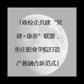 政校企共建“党建+康养”联盟，枣庄职业学院打造产教融合新范式