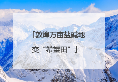 敦煌万亩盐碱地变“希望田”