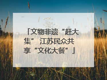 文物非遗“赶大集” 江苏民众共享“文化大餐”