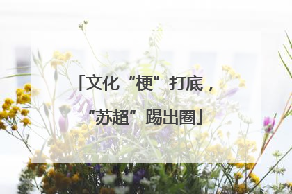 文化“梗”打底，“苏超”踢出圈