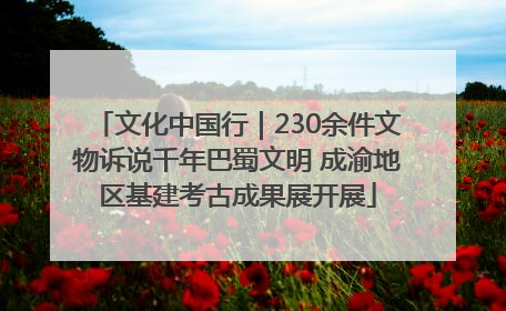 文化中国行｜230余件文物诉说千年巴蜀文明 成渝地区基建考古成果展开展