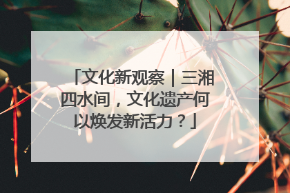 文化新观察｜三湘四水间，文化遗产何以焕发新活力？