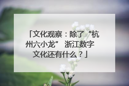 文化观察：除了“杭州六小龙” 浙江数字文化还有什么？