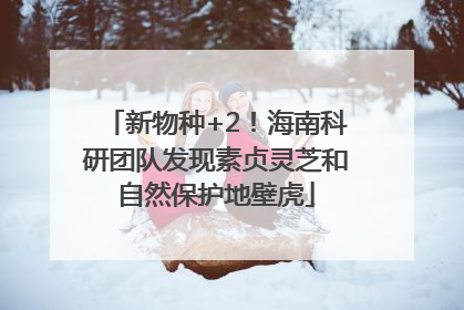 新物种+2！海南科研团队发现素贞灵芝和自然保护地壁虎
