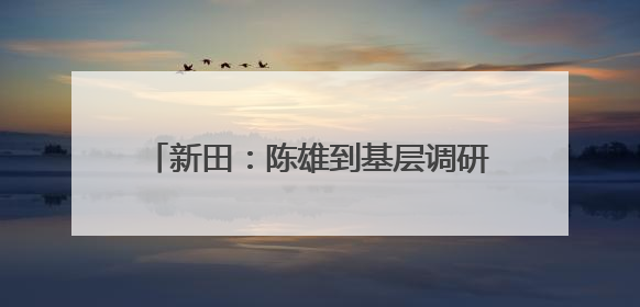 新田：陈雄到基层调研指导“十五五”规划编制与城乡品质大提升工作
