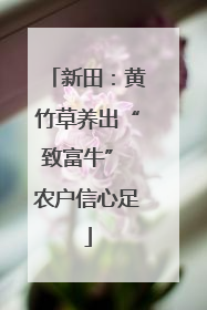 新田：黄竹草养出“致富牛” 农户信心足
