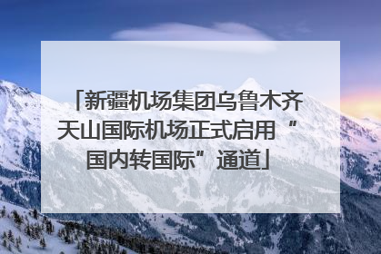 新疆机场集团乌鲁木齐天山国际机场正式启用“国内转国际”通道