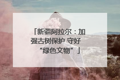 新疆阿拉尔：加强古树保护 守好“绿色文物”