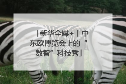 新华全媒+丨中东欧博览会上的“数智”科技秀