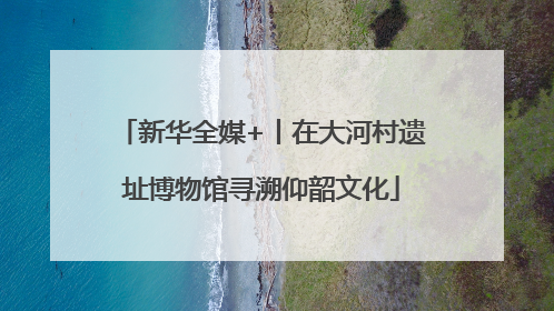 新华全媒+丨在大河村遗址博物馆寻溯仰韶文化